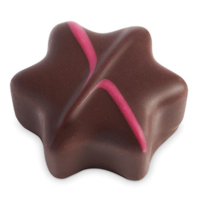 Lebkuchen-Stern