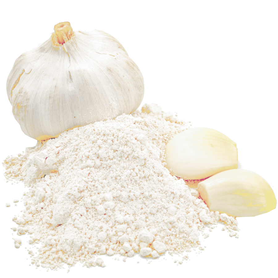 Knoblauchpulver