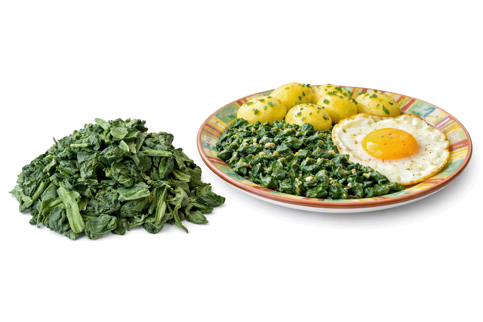 Junger Spinat entstielt