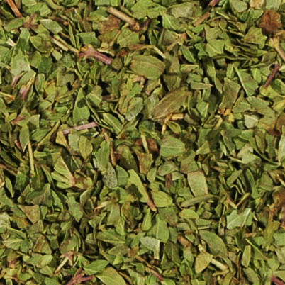 Oregano gefriergetrocknet