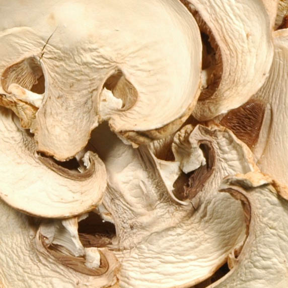 Champignons Scheiben getrocknet